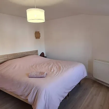 Апартаменты Catel Duplex Coeur De De Dizier 2 *