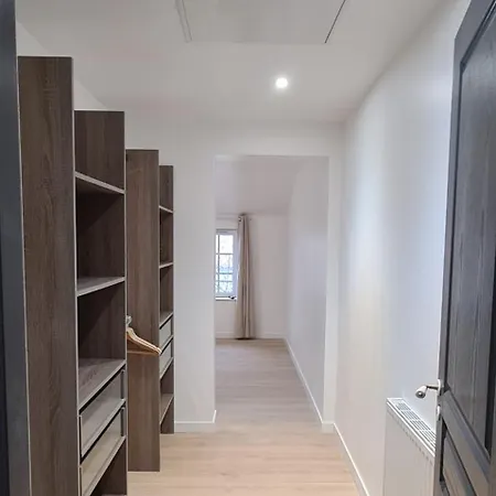 Catel Duplex Coeur De De Dizier 2 Appartement *