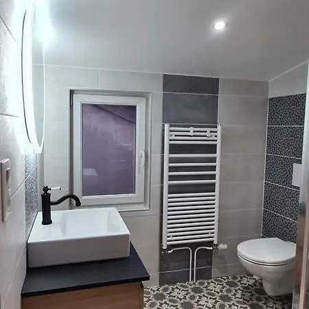 Appartement Catel Duplex Coeur De De Dizier 2 Saint-Dizier