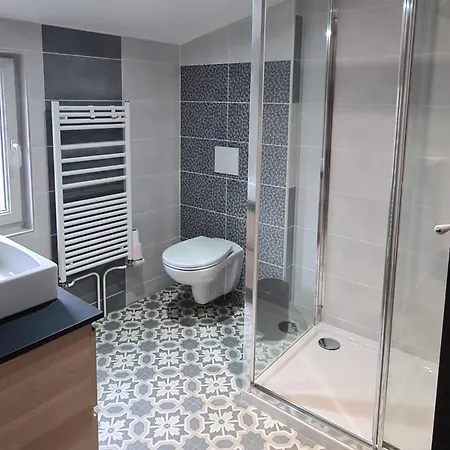 Appartement Catel Duplex Coeur De De Dizier 2 *